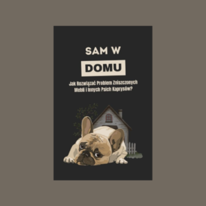 Sam w domu - Rozwiąż najczęstsze problemy