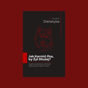 Jak karmić psa, by żył dłużej?